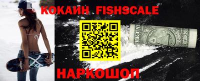 индика Сланцы