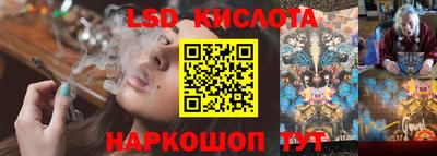 индика Сланцы