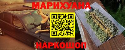 индика Сланцы