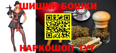 индика Сланцы