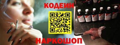 индика Сланцы