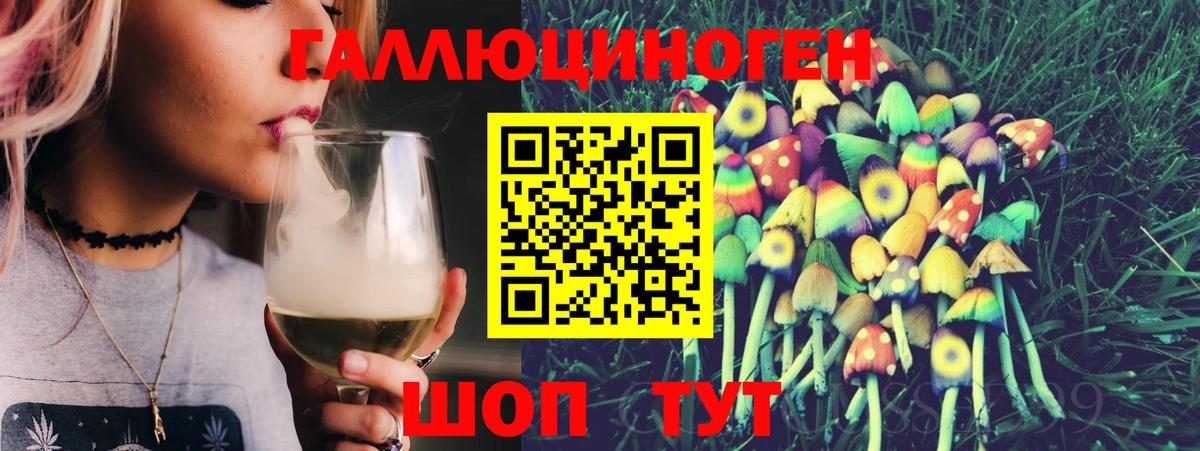 Псилоцибиновые грибы мухоморы Новосибирск